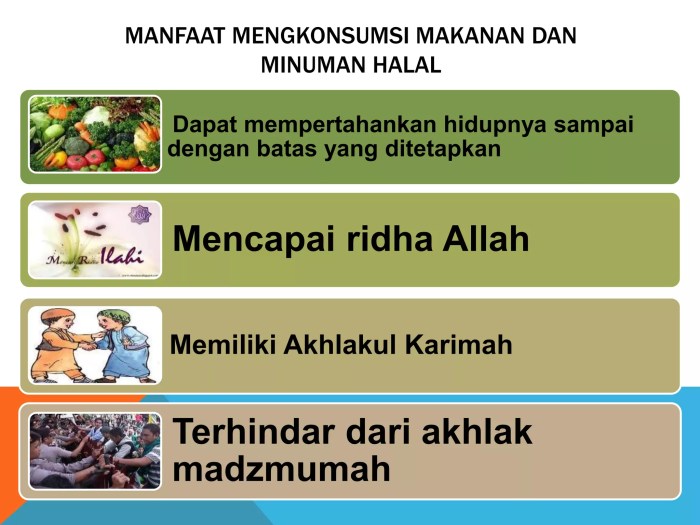 Pengertian Halal Dan Haram Dalam Islam Beserta Contohnya